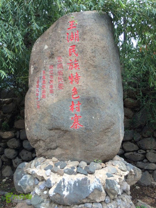 玉龙雪山_雪嵩村(玉湖村)_流沙坡_雪山大峡谷_扇子陡IMG_3387