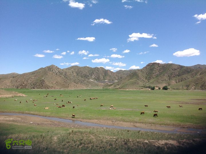 2014.06.08骑行桃湾儿IMG_1266_x