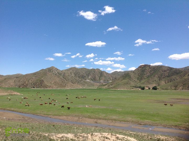 2014.06.08骑行桃湾儿IMG_1270_x