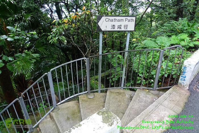 2014 06 22 四登太平頂P1140421