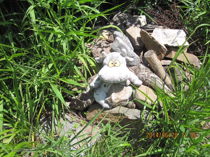 20140628灰地-小店子-铁陀山-峰口庵-圈门IMG_4896