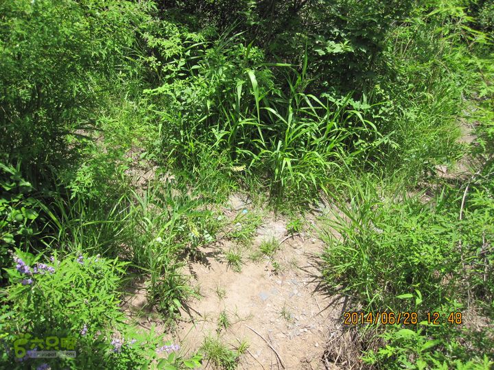 20140628灰地-小店子-铁陀山-峰口庵-圈门IMG_4909