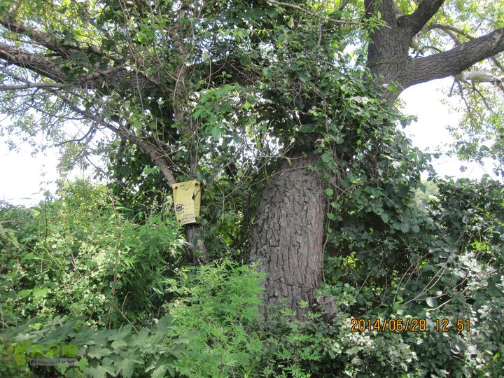 20140628灰地-小店子-铁陀山-峰口庵-圈门IMG_4911