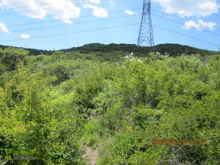 20140628灰地-小店子-铁陀山-峰口庵-圈门IMG_4920