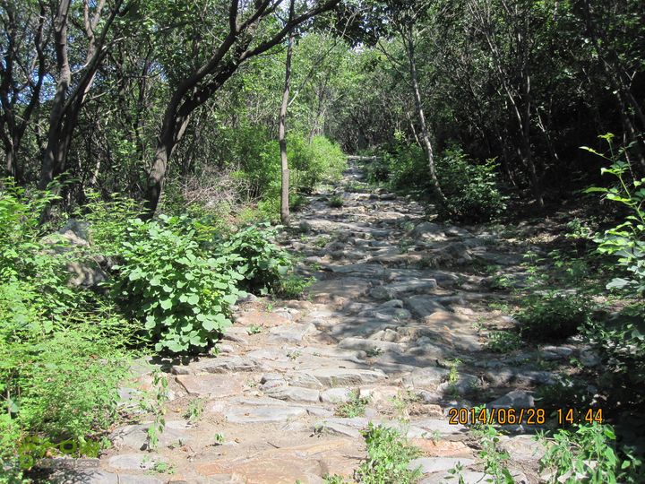 20140628灰地-小店子-铁陀山-峰口庵-圈门IMG_4947