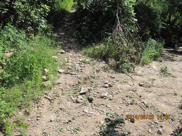 20140628灰地-小店子-铁陀山-峰口庵-圈门IMG_4950