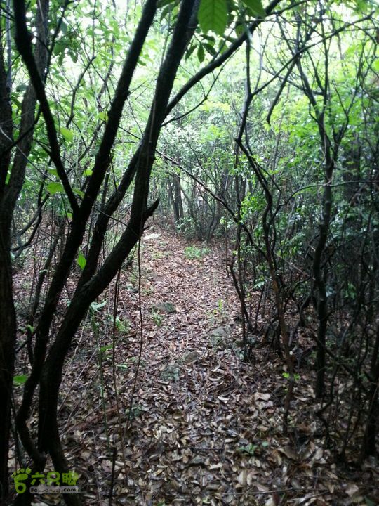 长兴顾渚登山探路山顶