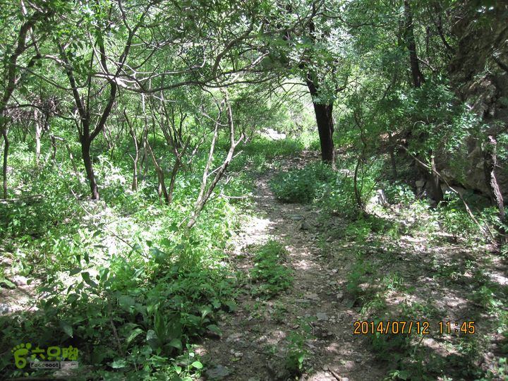 20140712南辛房-天门山-鞍子沟-铁陀山-圈门IMG_5033