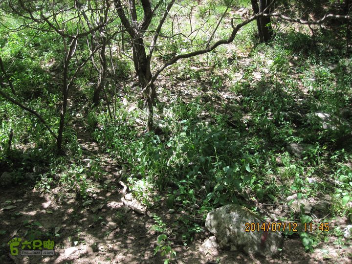 20140712南辛房-天门山-鞍子沟-铁陀山-圈门IMG_5034