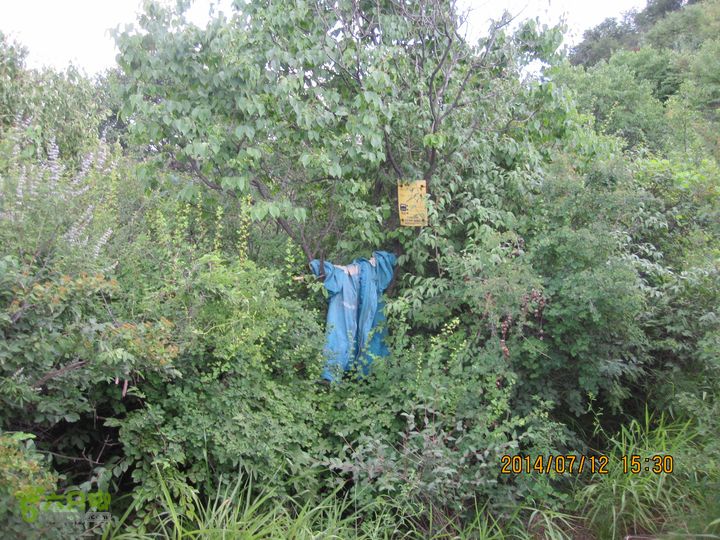 20140712南辛房-天门山-鞍子沟-铁陀山-圈门IMG_5045