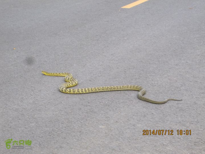 20140712南辛房-天门山-鞍子沟-铁陀山-圈门IMG_5053