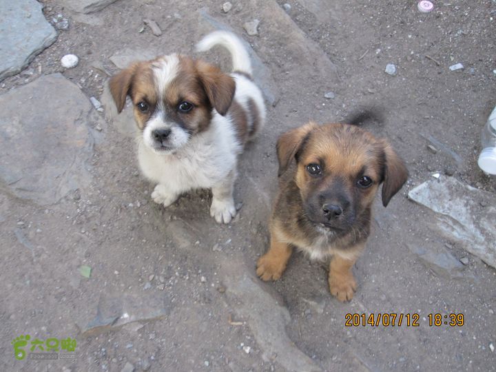 20140712南辛房-天门山-鞍子沟-铁陀山-圈门IMG_5059