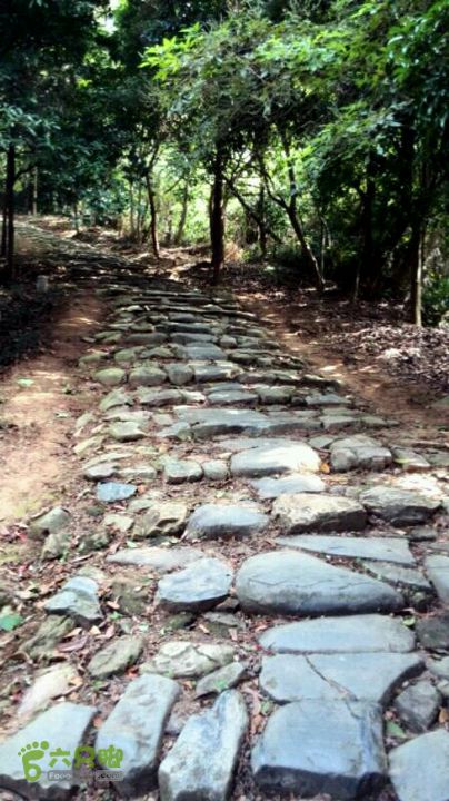 状元岭古道-宦溪-降虎寨-贵安很多路段都是这种石砌台阶