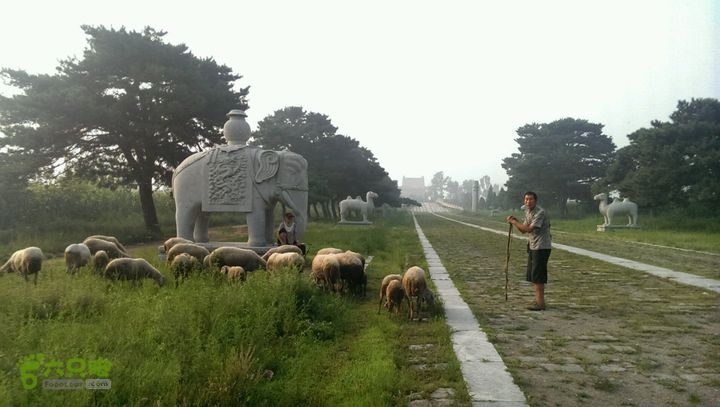 蓟县徒步黄花山清东陵裕陵孝陵神道大红楼20140720064932