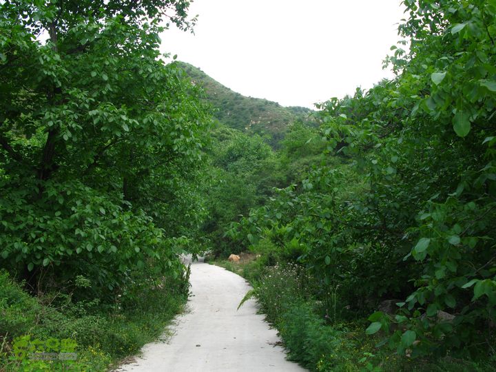 平谷熊儿寨东沟东长峪福吉卧北寨穿越IMG_6636