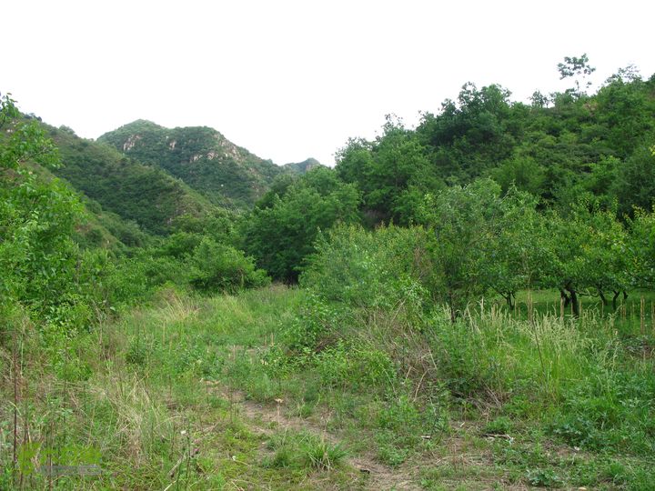 平谷熊儿寨东沟东长峪福吉卧北寨穿越IMG_6638