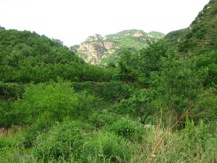 平谷熊儿寨东沟东长峪福吉卧北寨穿越IMG_6640