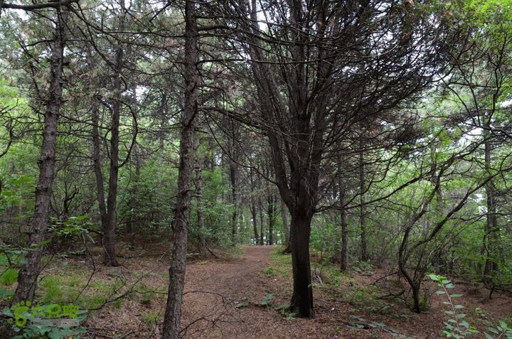 20140802 恒顺场-怪石山-上方山-云水洞-景区西门20140802-110956