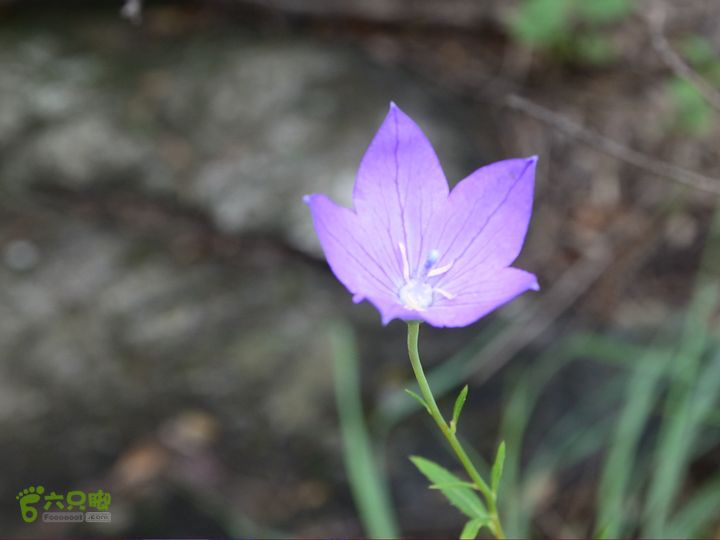 20140802 恒顺场-怪石山-上方山-云水洞-景区西门20140802-114141