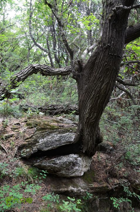 20140802 恒顺场-怪石山-上方山-云水洞-景区西门20140802-131829