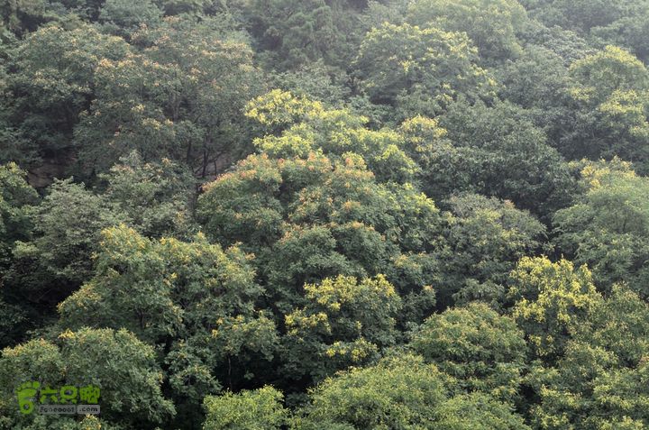 20140802 恒顺场-怪石山-上方山-云水洞-景区西门20140802-140510