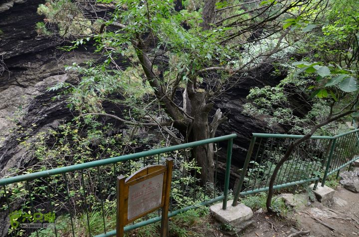 20140802 恒顺场-怪石山-上方山-云水洞-景区西门20140802-141405