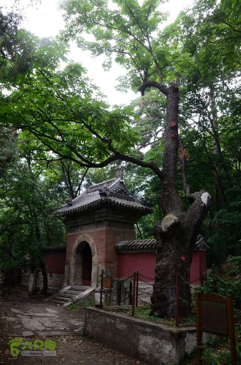 20140802 恒顺场-怪石山-上方山-云水洞-景区西门20140802-151922