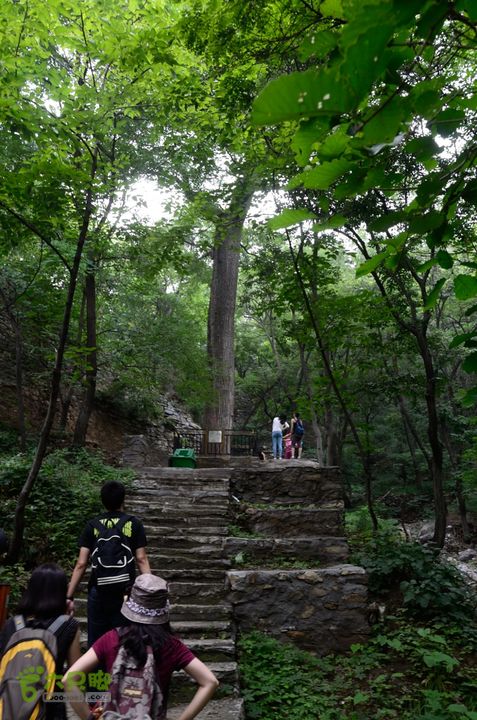 20140802 恒顺场-怪石山-上方山-云水洞-景区西门20140802-152243