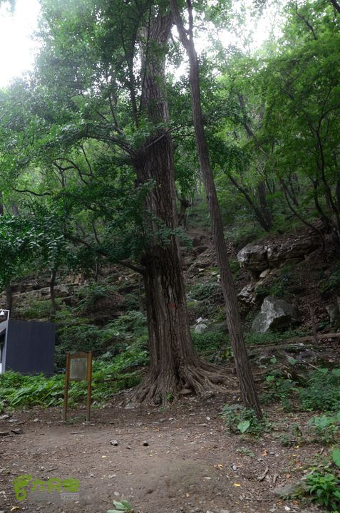 20140802 恒顺场-怪石山-上方山-云水洞-景区西门20140802-152539
