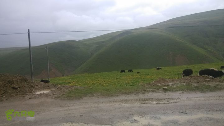 川藏南线IMG_20140726_171403