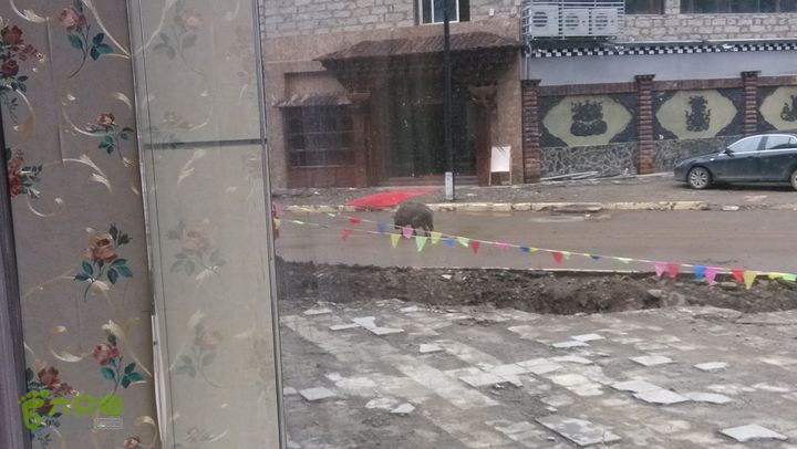 川藏南线IMG_20140727_085112