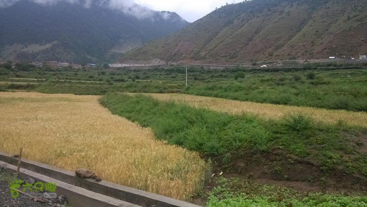 川藏南线IMG_20140727_111156