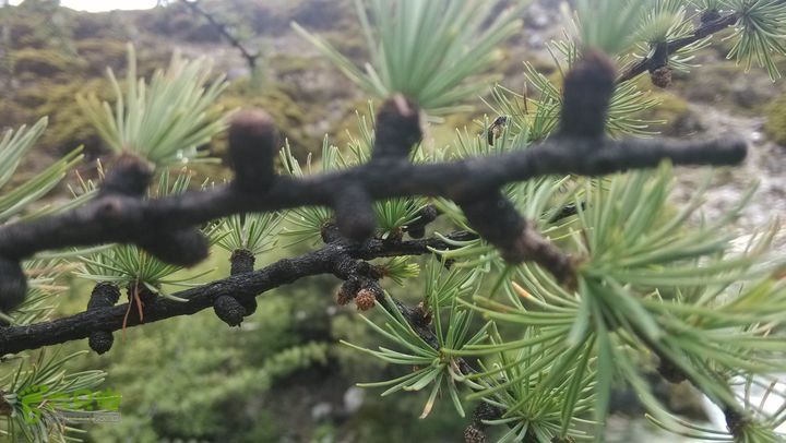 川藏南线IMG_20140727_150553