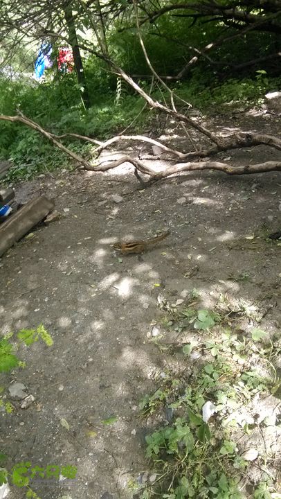 川藏南线IMG_20140727_153353