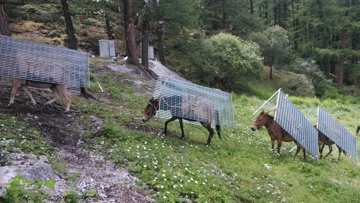 川藏南线IMG_20140727_154009