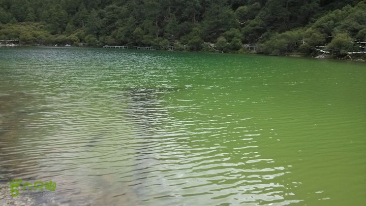 川藏南线IMG_20140727_165219