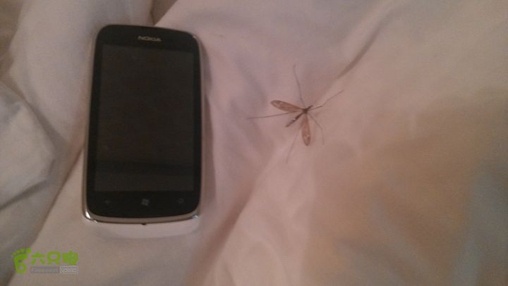 川藏南线IMG_20140729_053011