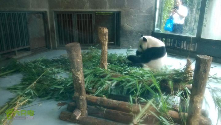 川藏南线IMG_20140801_113109