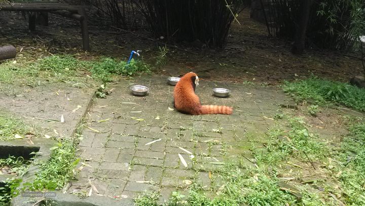 川藏南线IMG_20140801_114755