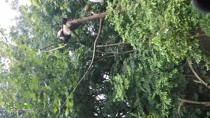 川藏南线IMG_20140801_120434