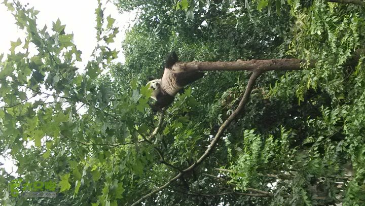 川藏南线IMG_20140801_120519