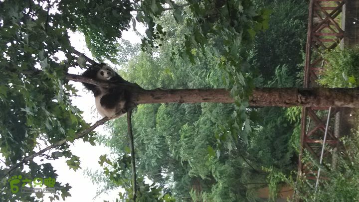 川藏南线IMG_20140801_123302