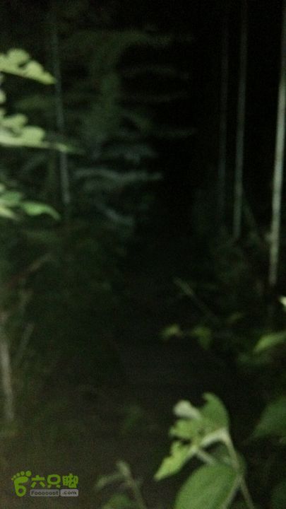 长城接龙：古北口-金山岭-司马台吊桥