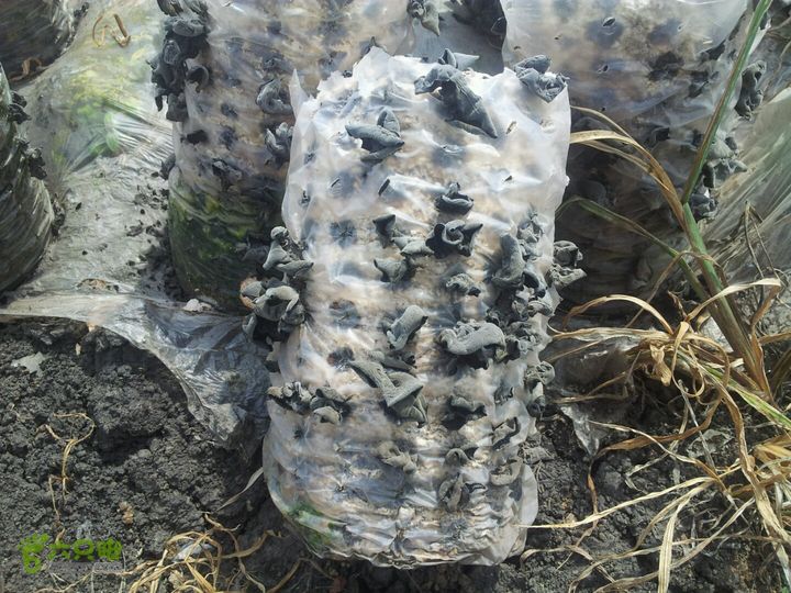 哈尔滨与镜泊湖2014-08-11 12:51:37