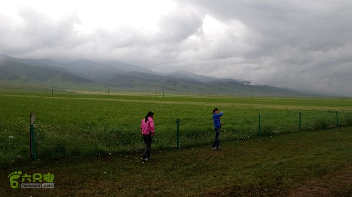 2014.8.8-8.16陕甘宁青自驾IMG_8394