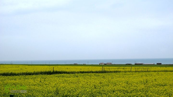 2014.8.8-8.16陕甘宁青自驾IMG_8397