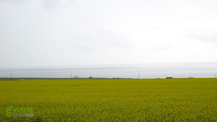 2014.8.8-8.16陕甘宁青自驾IMG_8407