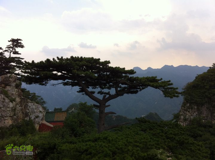 寺尚-大寨顶-圣莲山穿越照片 032