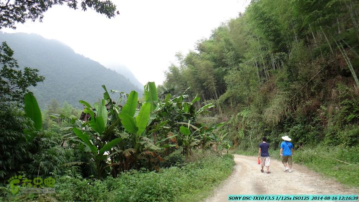 徒步雷公岩DSC02052