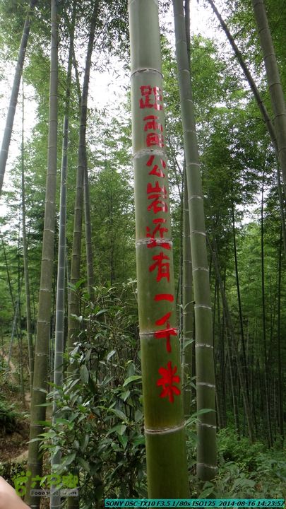 徒步雷公岩DSC02104